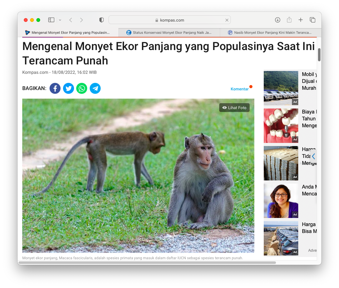 Kompas.com